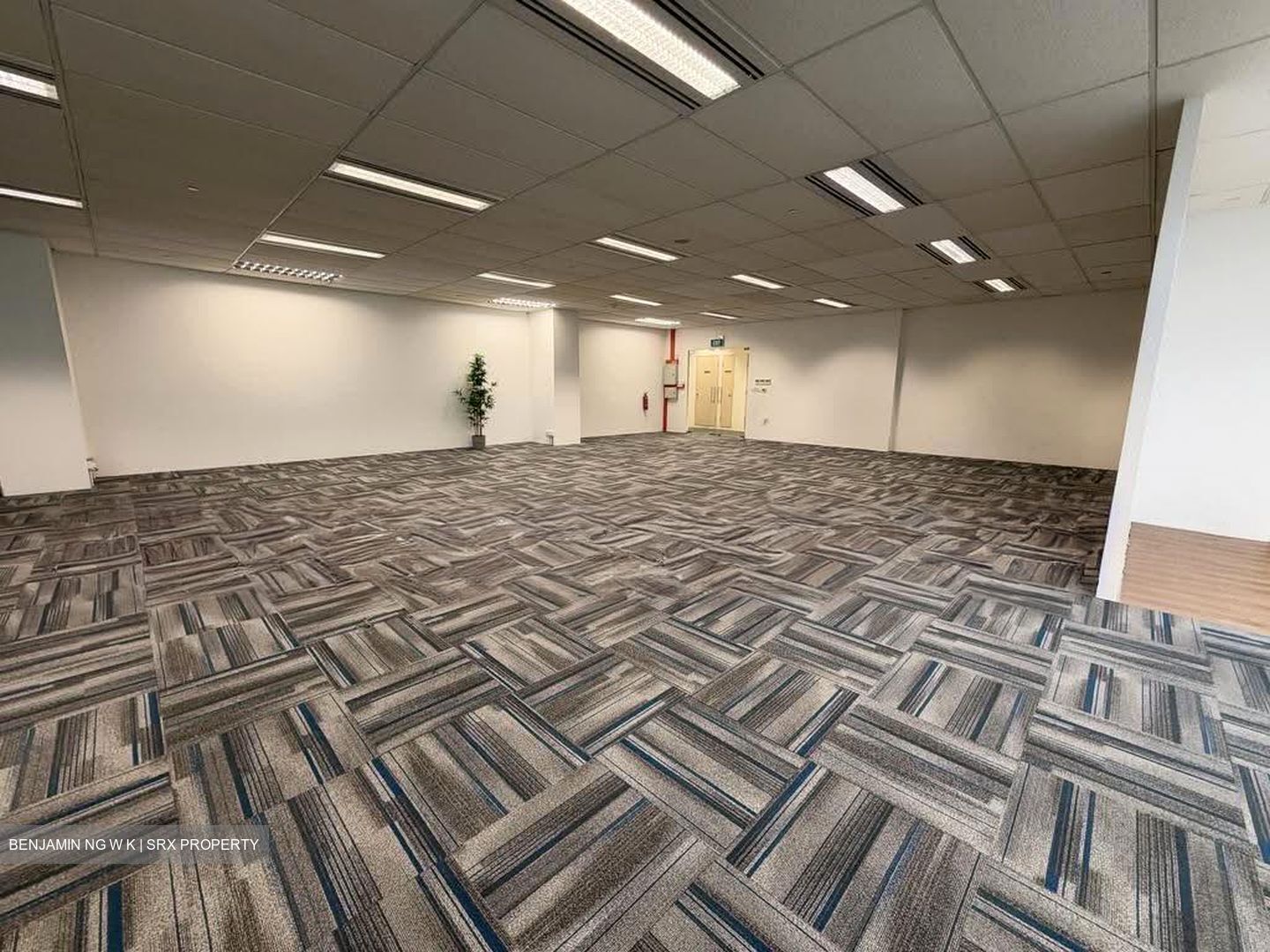 MYP Plaza (D1), Office #631918711